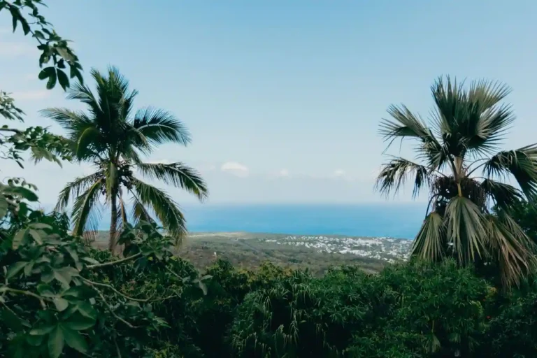 Actualités de La Réunion : où s&rsquo;informer et quoi suivre