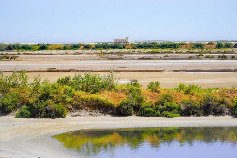 Actualités de Noirmoutier : suivre la vie de l&rsquo;île