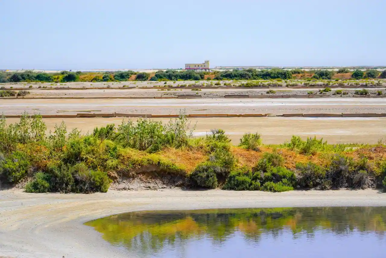 Paysage de marais salants côtiers, eau et terres plates sous un ciel bleu