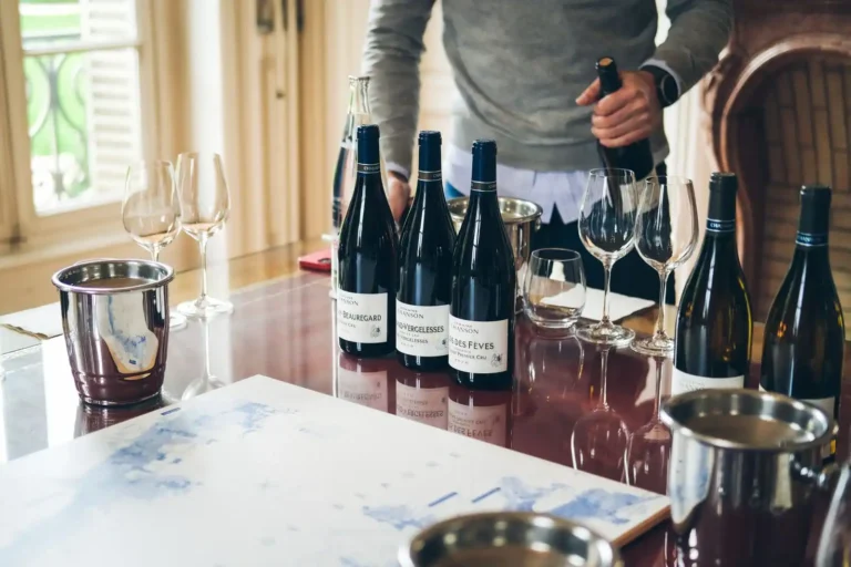 Le vin sans chichi : comprendre, choisir, servir
