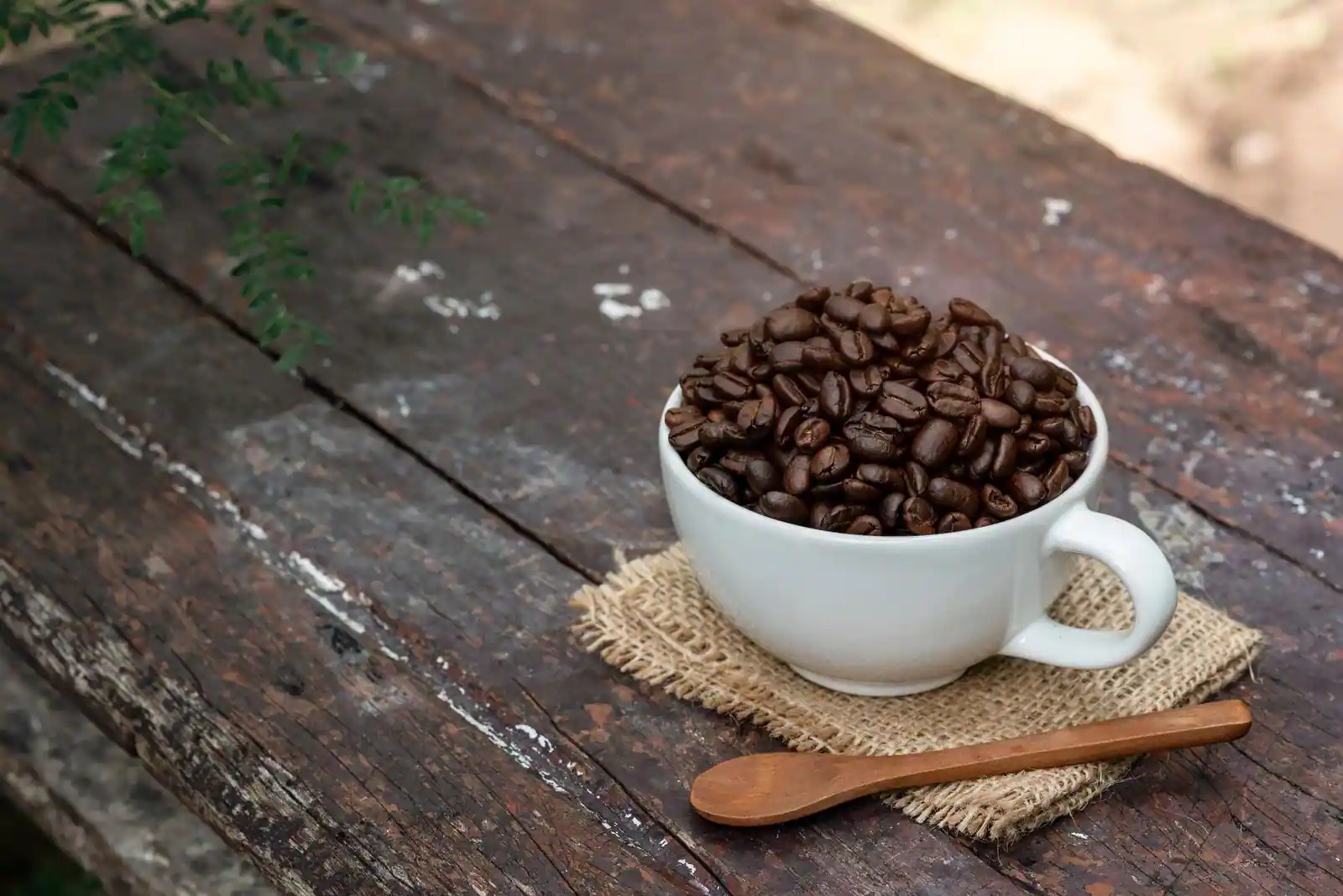 Tasse blanche remplie de grains de café torréfiés, sur une table en bois rustique