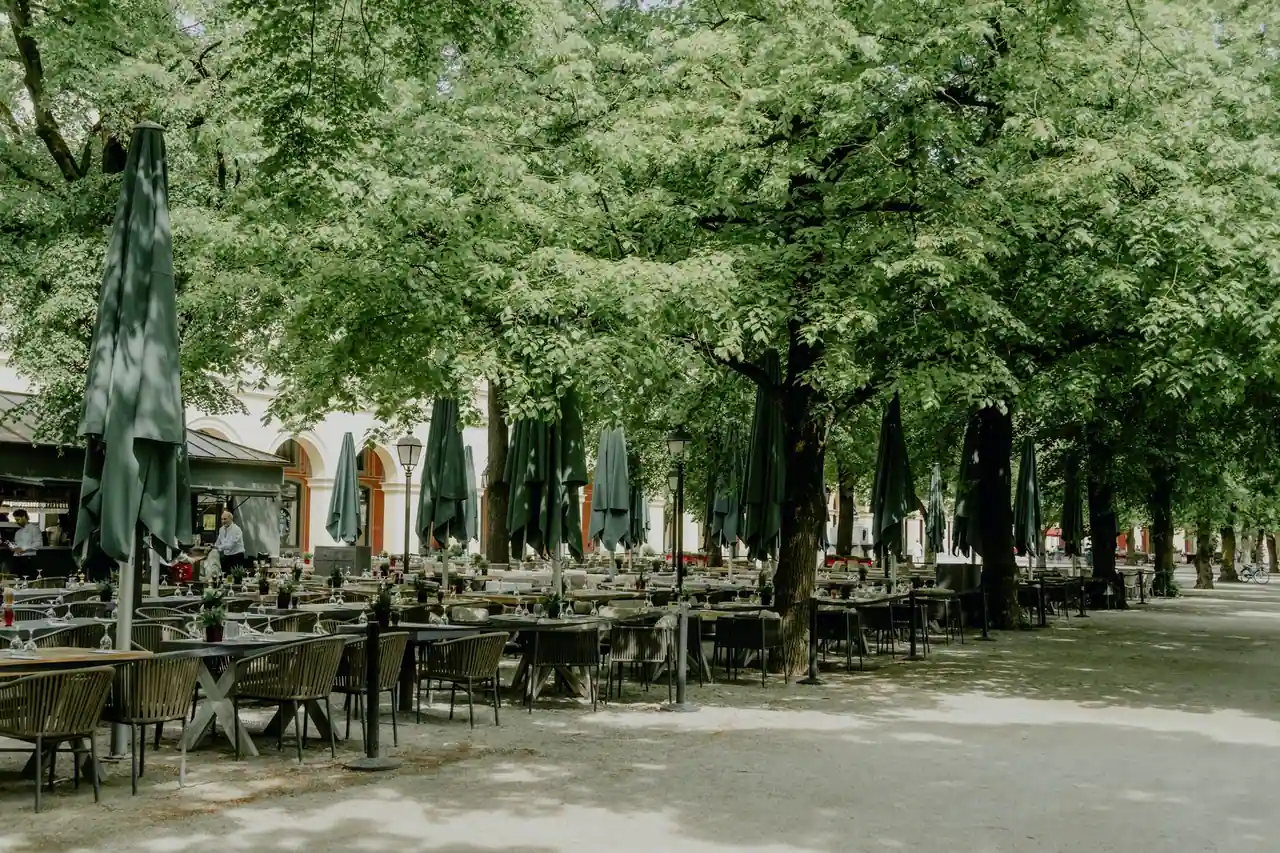 Terrasse de restaurant dressée sous de grands arbres, tables alignées à l'ombre du feuillage.