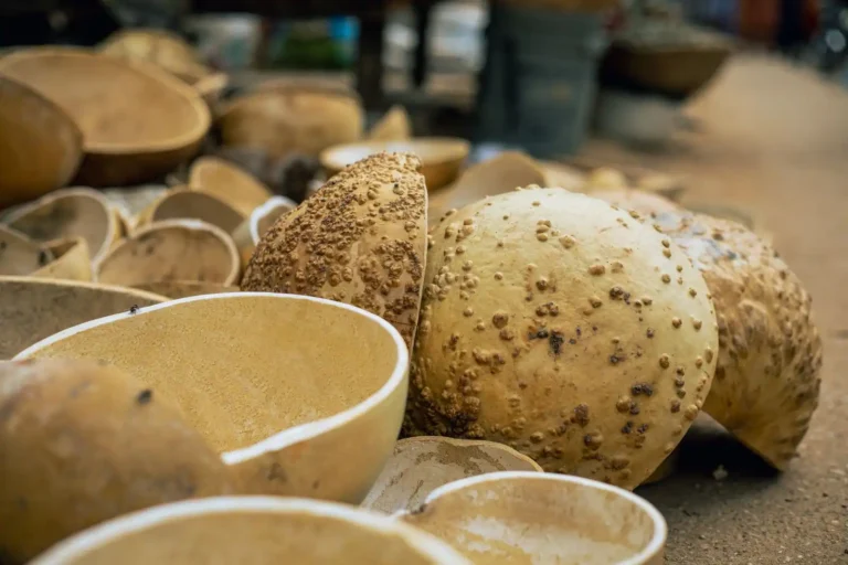 La kora : l&rsquo;instrument à 21 cordes des griots d&rsquo;Afrique de l&rsquo;Ouest
