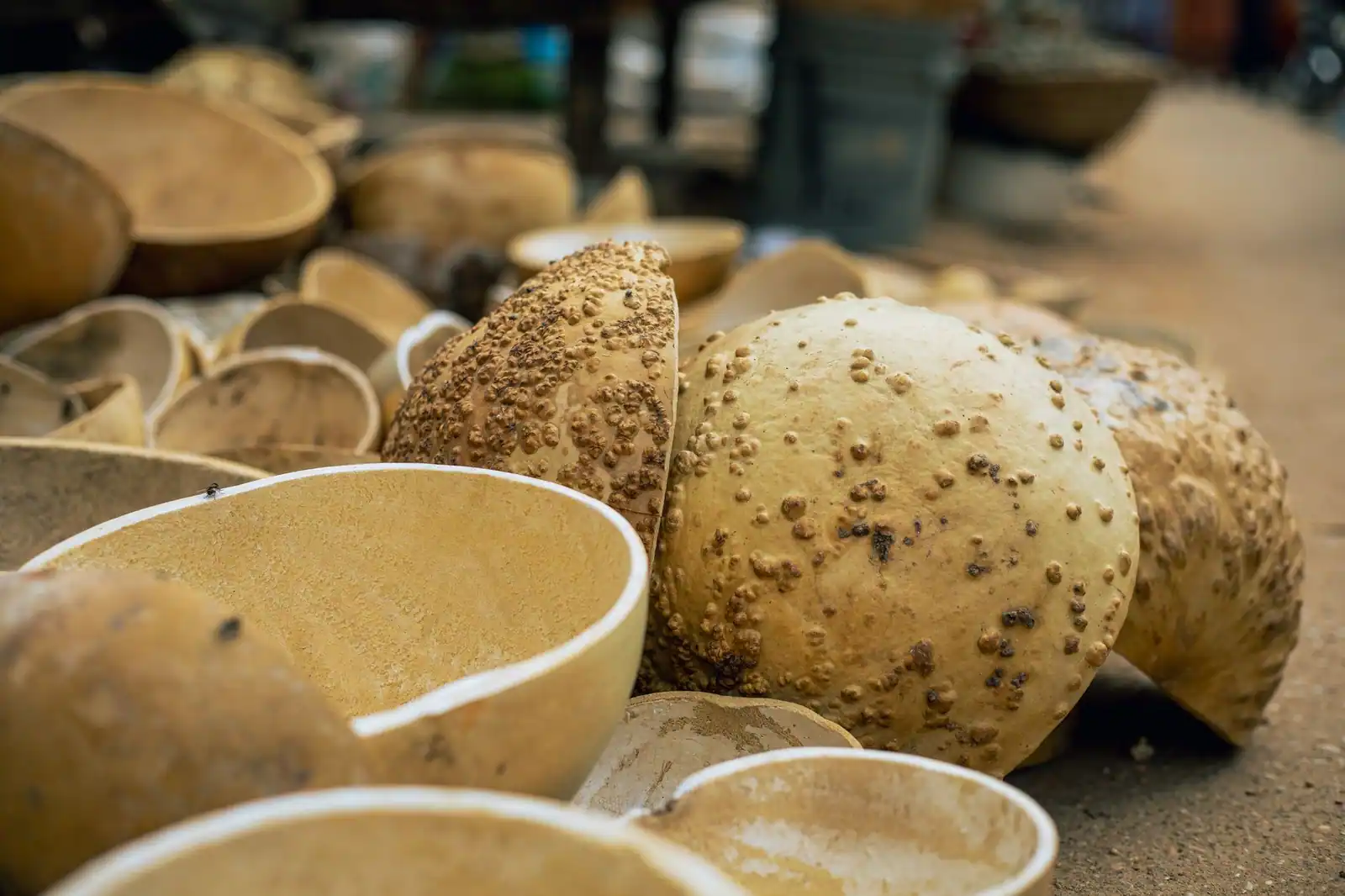 Calebasses séchées au marché : leur coque évidée sert à fabriquer la caisse de résonance de la kora.