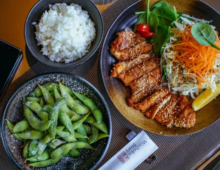 Plat japonais : familles, ingrédients et recettes maison