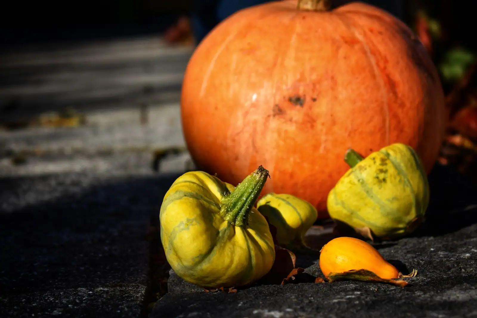 Assortiment de légumes d'automne — courges, potimarron et champignons — disposés sur une table en bois.