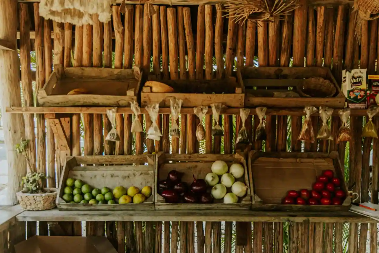 Assortiment de légumes frais et de légumineuses disposés sur une table, sans aucun produit d'origine animale.