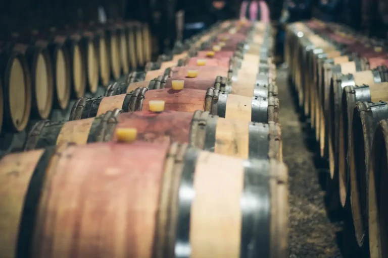 Rhum de Guadeloupe : IGP, distilleries et âges expliqués